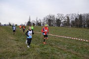 DSC_0181 DSC_0181